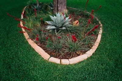 Native Gardeners - Outdoor Lighting Installation in Euless, TX