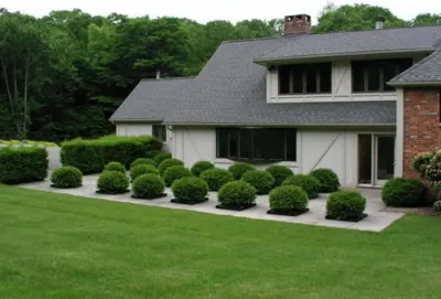 Onsite Design — Landscape Design project by Native Landscapes Inc