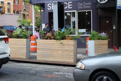 Native NY Gardens - Landscape Design in New York City, NY