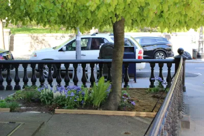 Native NY Gardens - Landscape Design in New York City, NY