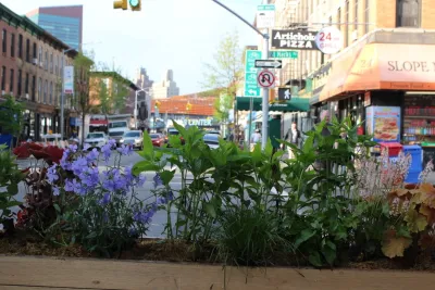 Native NY Gardens - Landscape Design in New York City, NY