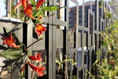 Native NY Gardens - Landscape Design in New York City, NY
