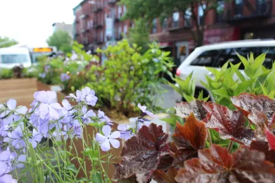 Native NY Gardens - Landscape Design in New York City, NY