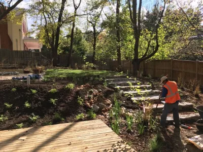 Native Plant Landscape Design Corp - Landscape Design in Falls Church, VA