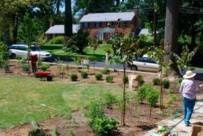 Front Yard Renovation | North Arlington VA — Landscape Design project by Native Plant Landscape Design Corp in Arlington