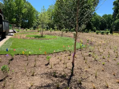 Lorton Front and Side Garden by Native Plant Landscape Design Corp
