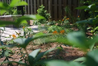 Native Plant Landscape Design Corp - Landscape Design in Falls Church, VA