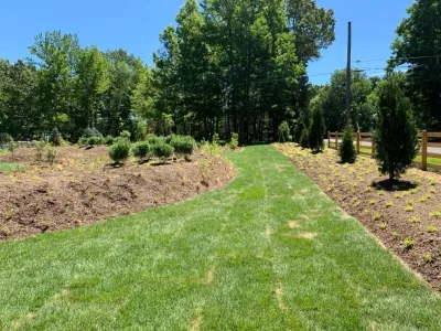 Native Plant Landscape Design Corp - Landscape Design in Falls Church, VA