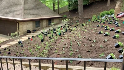 Lake Barcroft — Landscape Design project by Native Plant Landscape Design Corp