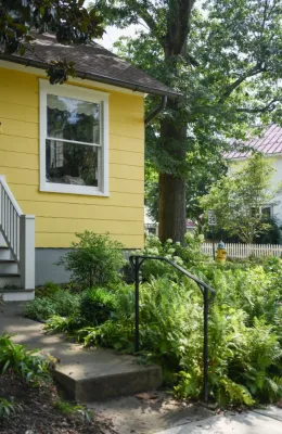22nd St N Arlington, Va by Native Plant Landscape Design Corp