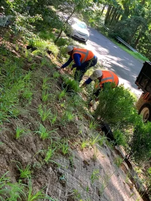 Reston Front Yard Garden — Landscape Design project by Native Plant Landscape Design Corp