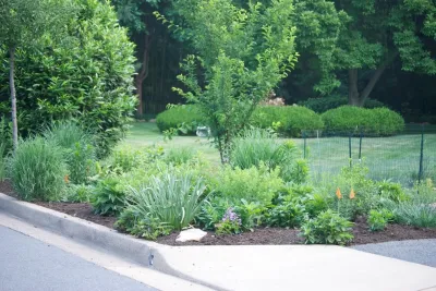 Side Yard Garden Design & Build | Falls Church VA — Landscape Design project by Native Plant Landscape Design Corp in Falls Church