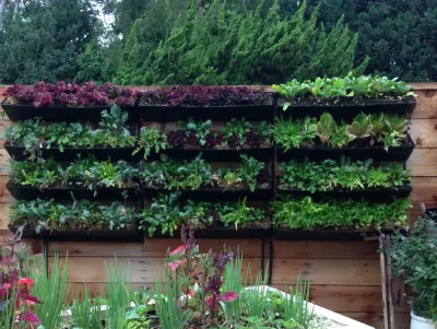 Native Soil Gardens - Landscape Design in Seal Beach, CA