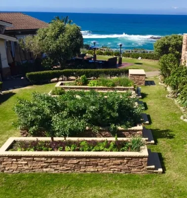 Native Soil Gardens - Landscape Design in Seal Beach, CA