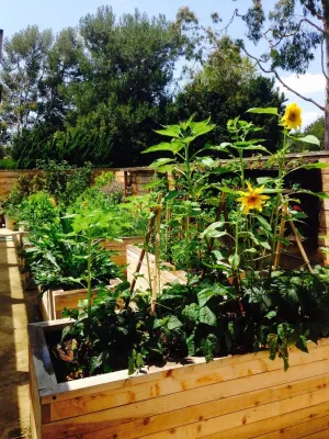 Native Soil Gardens - Landscape Design in Seal Beach, CA