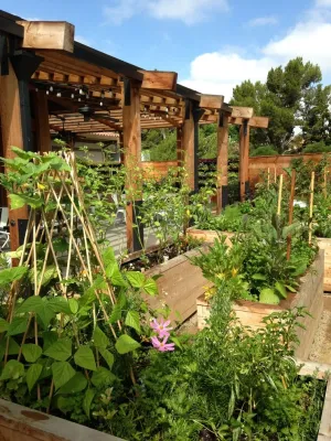 Native Soil Gardens - Landscape Design in Seal Beach, CA