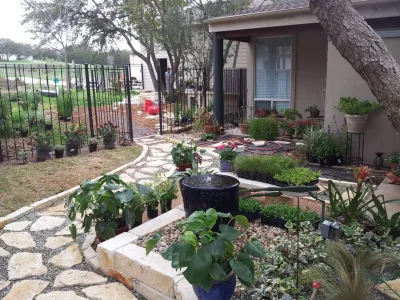 Native Wildscapes - Tree & Shrub Care in Austin, TX