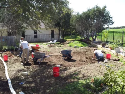 Native Wildscapes - Tree & Shrub Care in Austin, TX