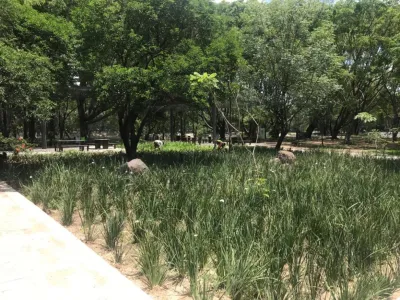 PARK L — Landscape Design project by Aveille Landscape