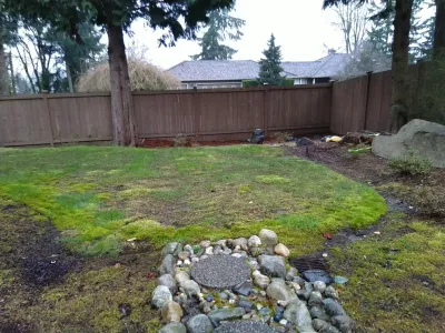 Natural Greenscapes LLC - Deck Building & Repair in Kenmore, WA
