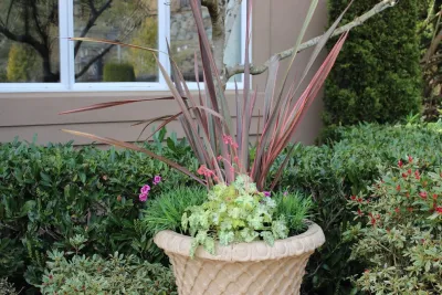 Sammamish - Container Plantings and Herb Garden — Landscape Design project by Natural Greenscapes LLC