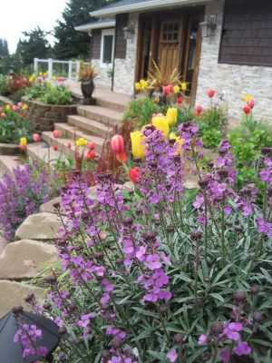 Natural Greenscapes LLC - Deck Building & Repair in Kenmore, WA