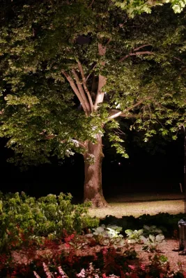 NatureScape Lighting - Outdoor Lighting Installation in Millington, NJ
