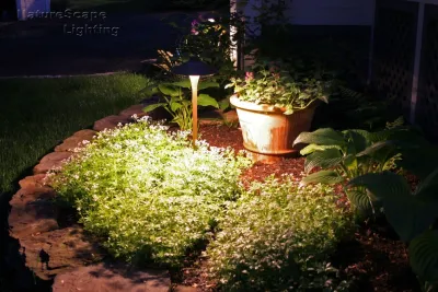 NatureScape Lighting - Outdoor Lighting Installation in Millington, NJ