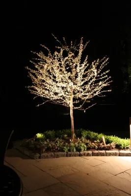 NatureScape Lighting - Outdoor Lighting Installation in Millington, NJ