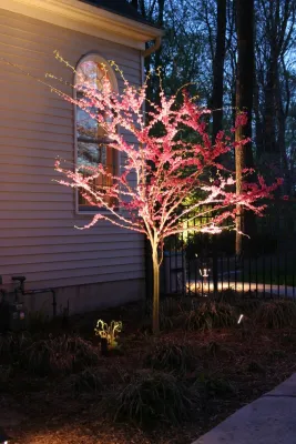 NatureScape Lighting - Outdoor Lighting Installation in Millington, NJ