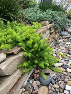 NC Designs - Patio Design & Installation in Los Osos, CA