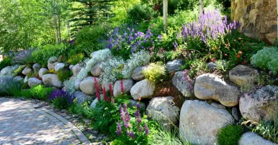 Design - Build Mountain Home Landscape in Vail, CO — Landscape Design project by Neils Lunceford, Inc.