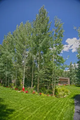 Homestead Lodgepole Condominiums Landscape Maintenance in Summit County, CO by Neils Lunceford, Inc.
