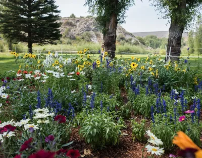 Design - Build Landscape Grand County Ranch Landscaping — Landscape Design project by Neils Lunceford, Inc.