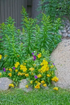 Neils Lunceford, Inc. - Outdoor Lighting Installation in Silverthorne, CO