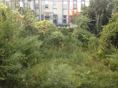 New Eco Landscapes - Drip Irrigation System Installation in Brooklyn, NY