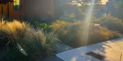Seattle - View Ridge Project — Landscape Design project by Noriko Marshall Landscape Architecture