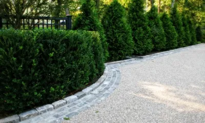 Odd Job Landscaping - Garden Remodeling in Norwalk, CT