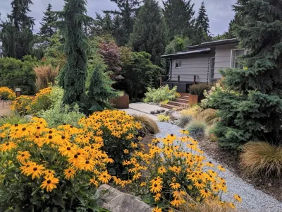 Broadview Mid-Century Makeover — Landscape Design project by Olander Garden Design