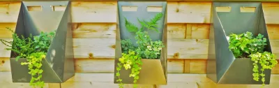 Seattle Contemporary Planting — Landscape Design project by Olander Garden Design