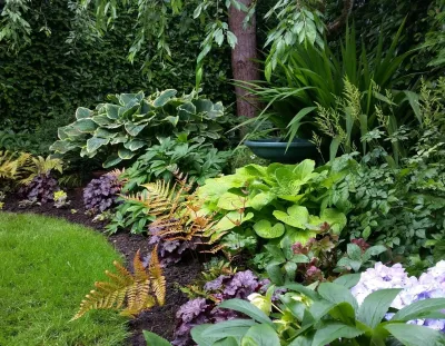 Shady Border Planting — Landscape Design project by Olander Garden Design