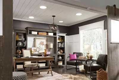 VELUX 2025 Vision — Window Installation & Replacement project by Velux