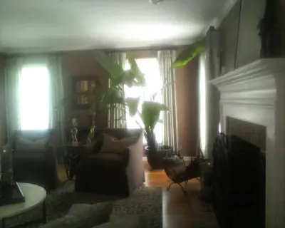 Window Couture - Window Installation & Replacement in Indianapolis, IN