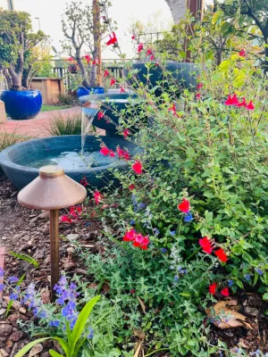 Arborealis - Patio Design & Installation in Alameda, CA