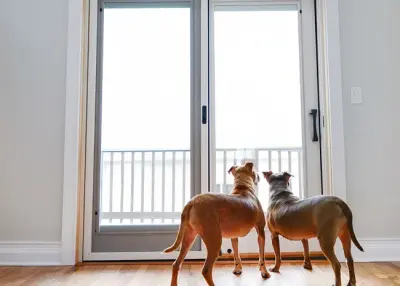 LaPelusa Home Improvement, Inc. - Window Installation & Replacement in Chicago, IL