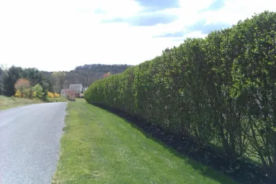 Chester Springs Classic Simplicity — Landscape Design project by Organixx