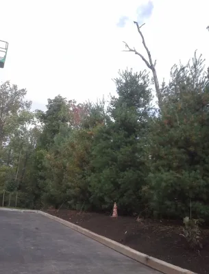 Organixx - Garden Remodeling in Downingtown, PA