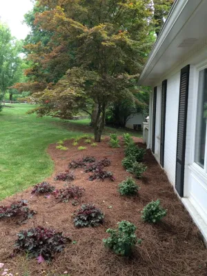 Our Land Organics - Landscape Design in Highland Heights, KY