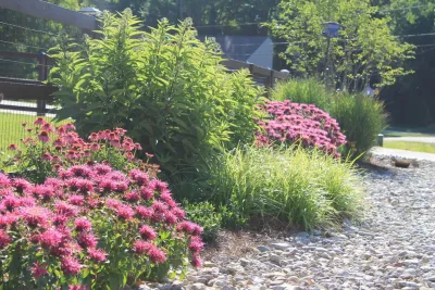 Our Land Organics - Landscape Design in Highland Heights, KY
