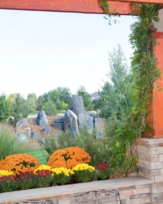 Outdoor Craftsmen - Drought-Resistant Lawn Installation in Erie, CO